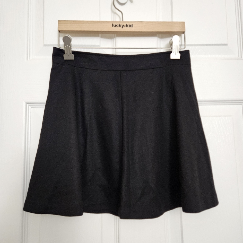 Black A-line Mini Skirt
